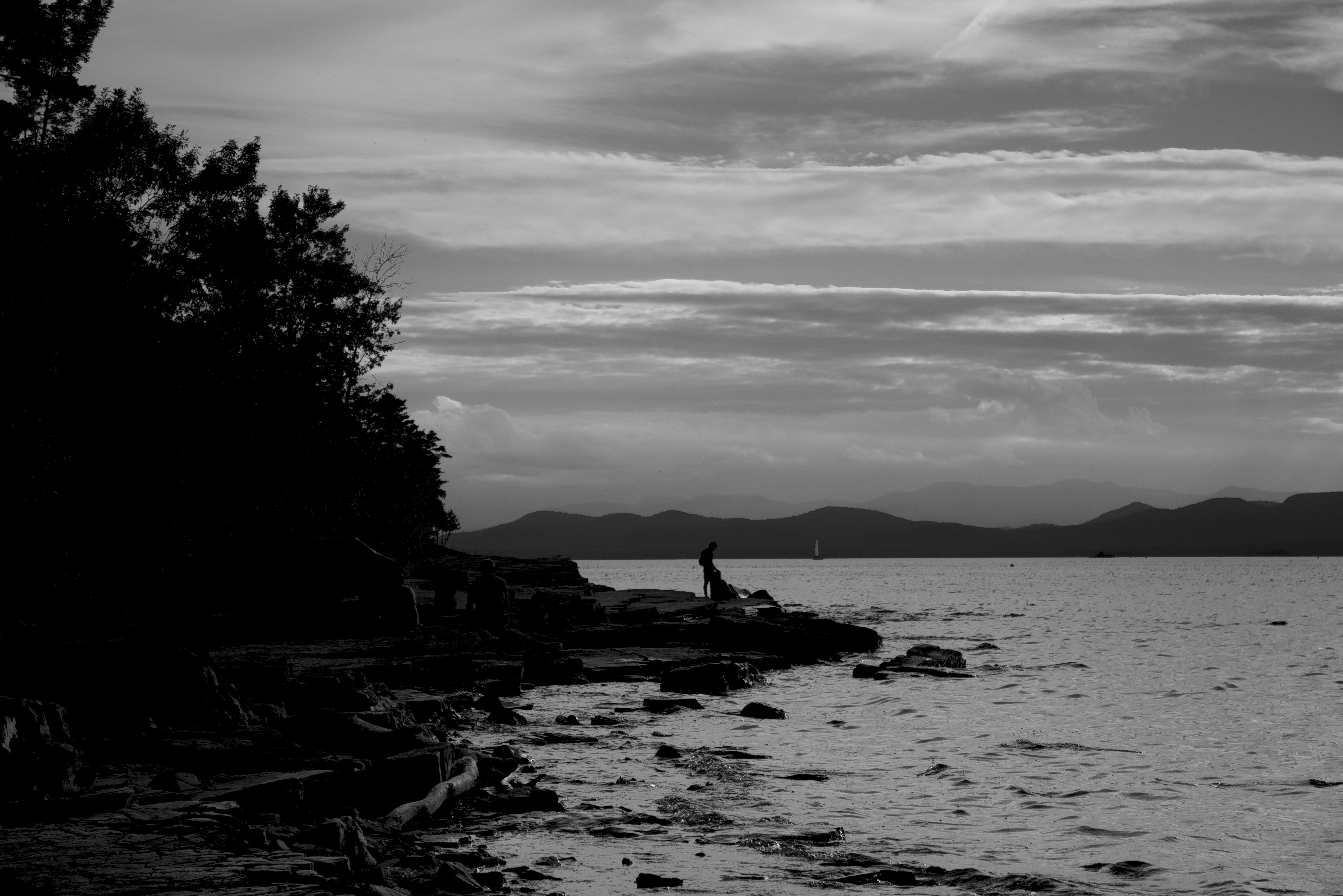 A b&w photo along Oakledge park in Burlington VT