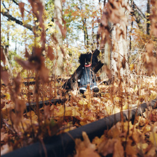 Golliwag - Billie Woods cover