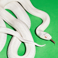 Deftones - Private Music cover