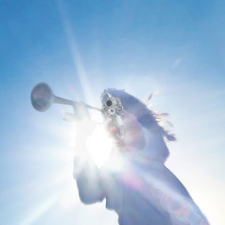 Getting Killed - Geese cover