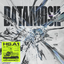 Datamosh - High Society cover