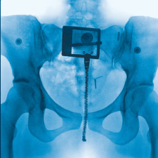 Virgin - Lorde cover