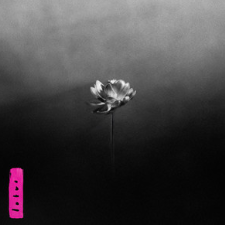 Lotus - Little Simz cover