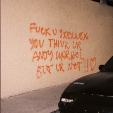 Fuck You Skrillex You Think You're Andy Warhol but You're Not!! - Skrillex cover